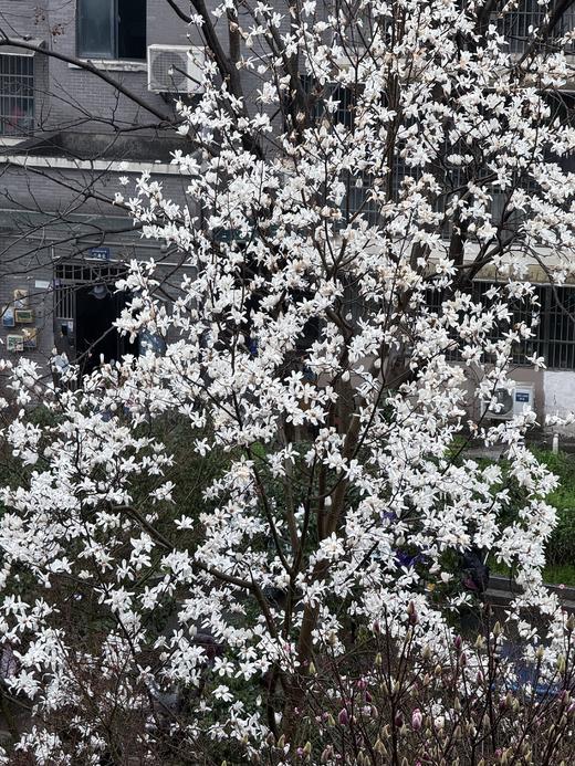 测试创建音频 商品图0